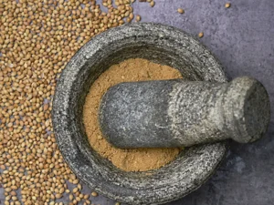 Gruhasutram subtle citrusy coriander powder dhania