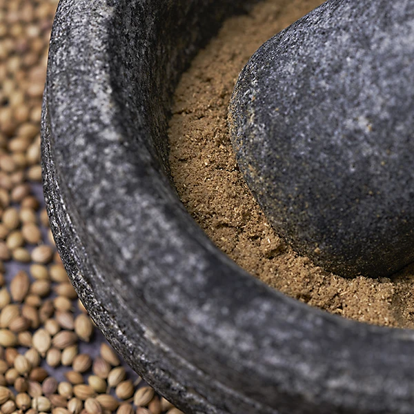 Gruhasutram subtle citrusy coriander powder dhania